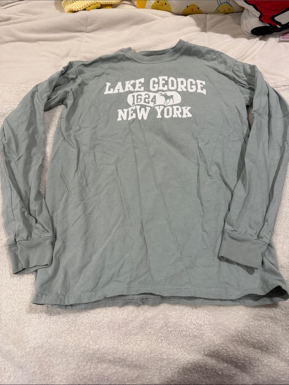 Comfort Colors Lake George New York Long Sleeve Tee in Sage